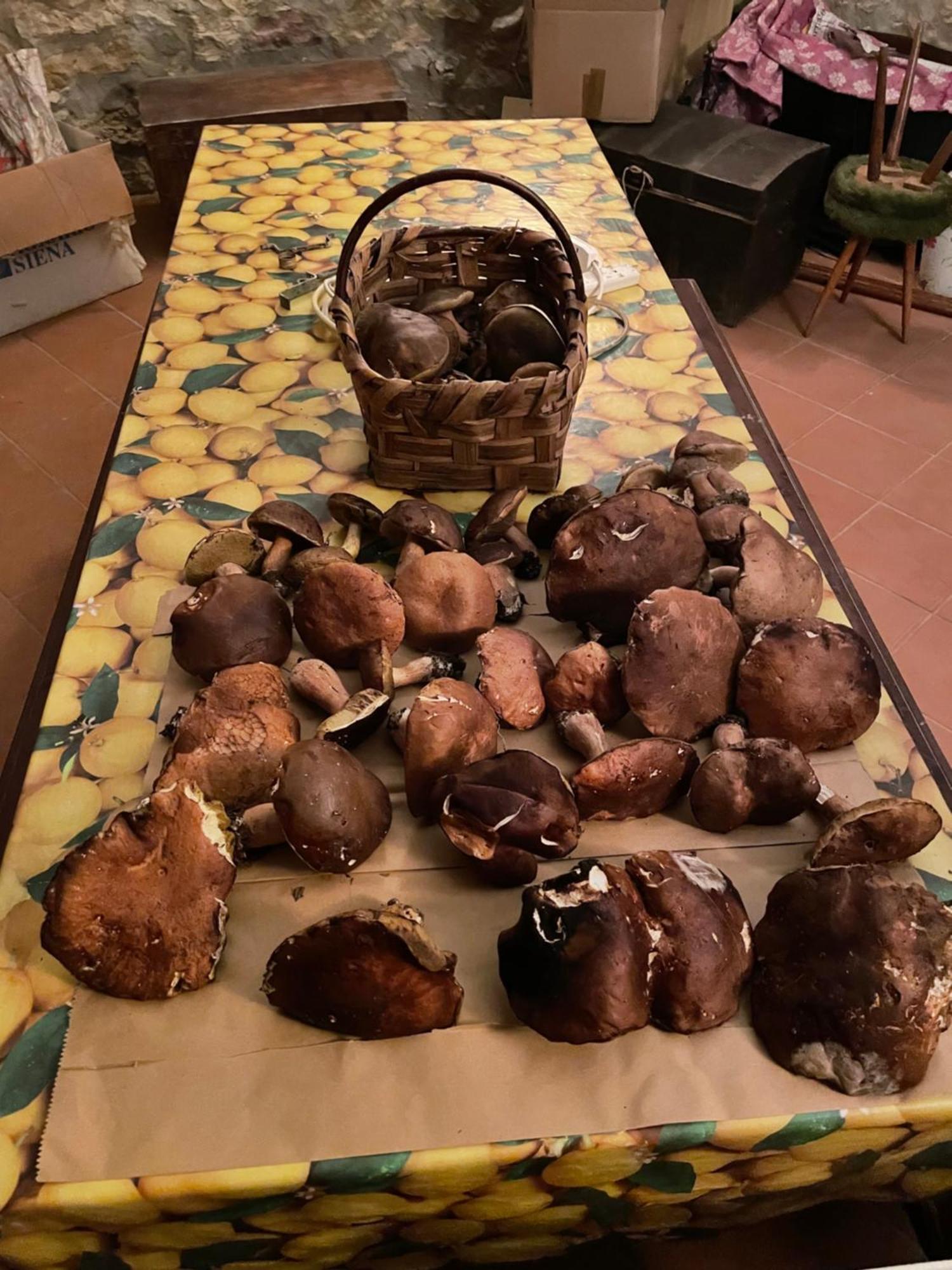 Casamoira Διαμέρισμα Trequanda Εξωτερικό φωτογραφία
